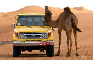 Toyota Land Cruiser Oman May 2012c