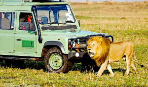 Land Rover Kenya 2012 by ThomasChamberlin