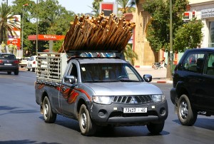 Mitsubishi L200 Morocco November 2012. Picture courtesy of orangevolvobusdriver via Flickr
