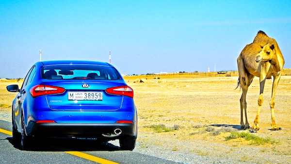 Kia Cerato Egypt February 2013