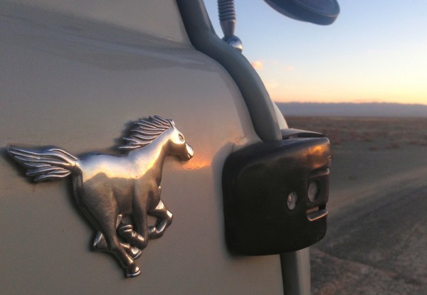 Silver Mustang