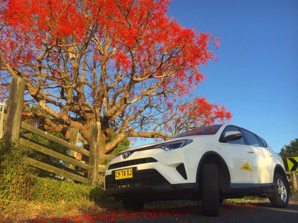 toyota-rav4-crescent-head