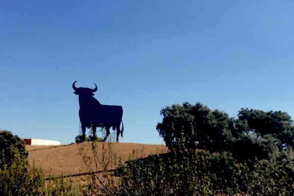 toro